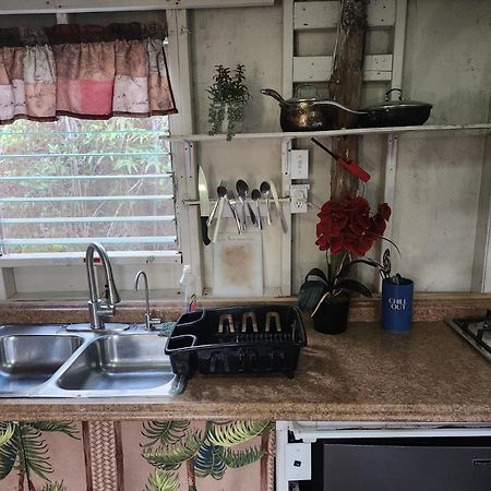 Cabin 2-Rustic Private Stay Near Volcano National Park Fern Forest Extérieur photo