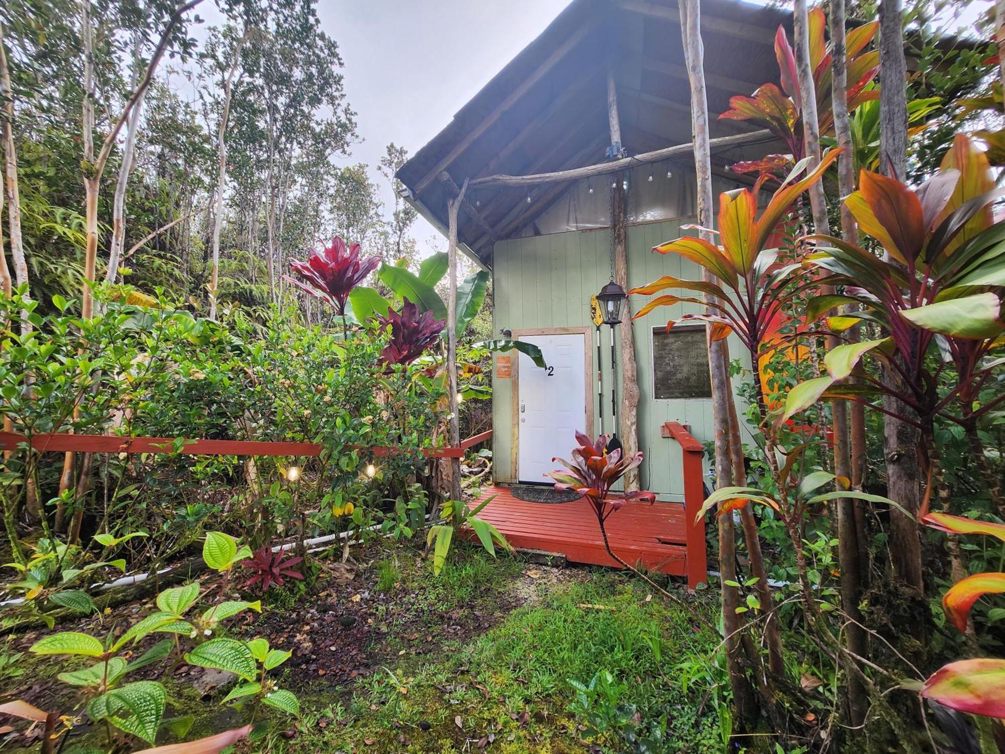Cabin 2-Rustic Private Stay Near Volcano National Park Fern Forest Extérieur photo